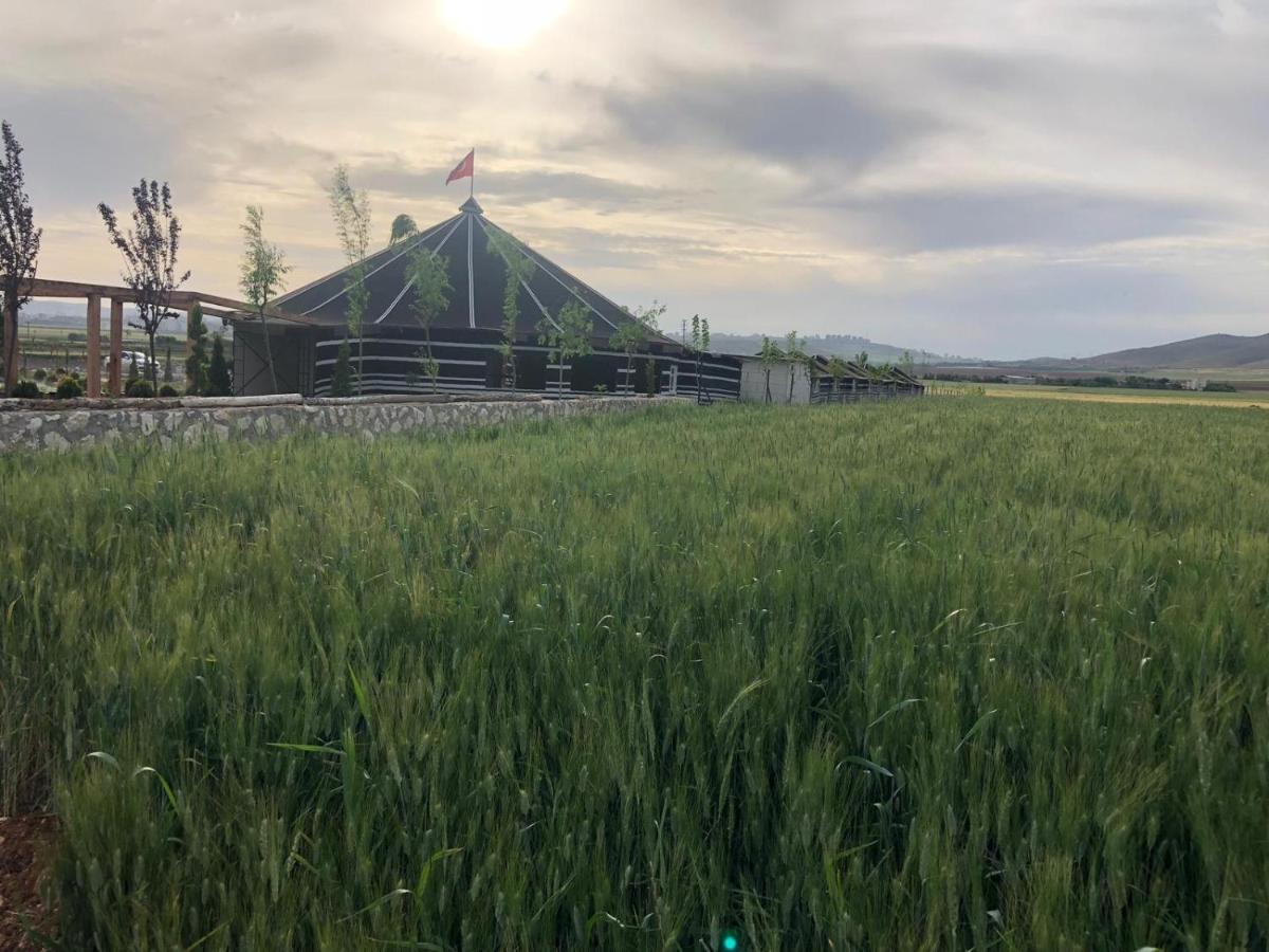 Gobeklitepe Cadir Saray Hotel Sanlıurfa Екстериор снимка