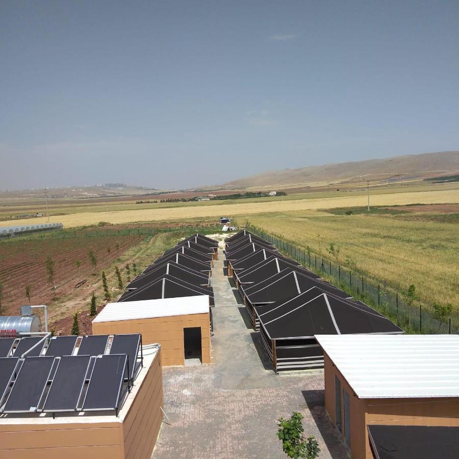 Gobeklitepe Cadir Saray Hotel Sanlıurfa Екстериор снимка